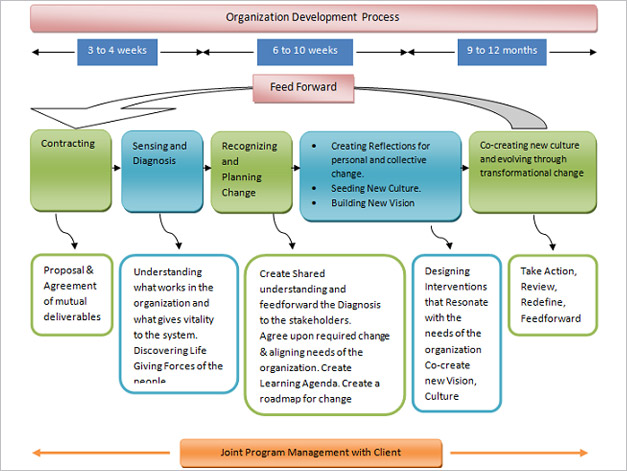 Organization Devlopment Process